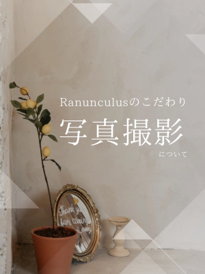 Ranunculus(ラナンキュラス)のお知らせ - ラナンキュラスのこだわり(写真撮影)