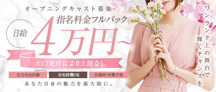 港区の高級デリヘル求人なら乙女のはにかみ